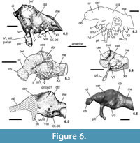 s figure 6