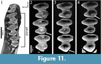 s figure11