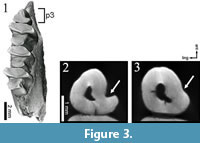 s figure3