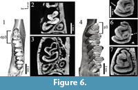 s figure6