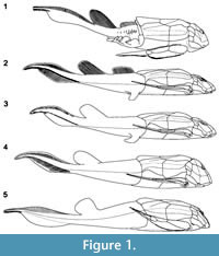 s figure1