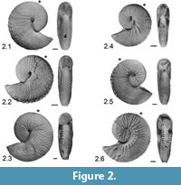 s figure 2