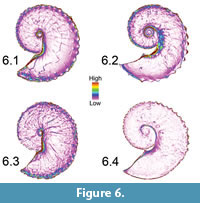 s figure 6