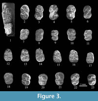 s figure 3