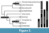 s figure3