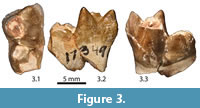 s figure3