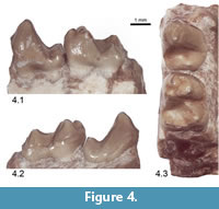 s figure4