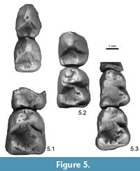 s figure5