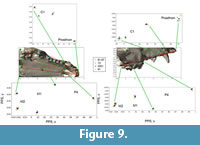 s figure 9