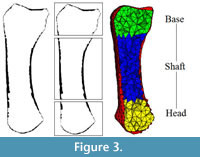 s fig3