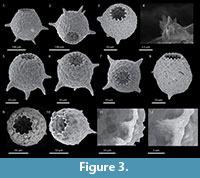 s figure3