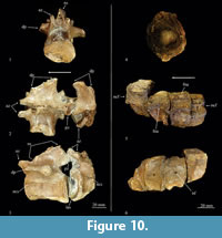 s figure 10