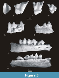 s figure5