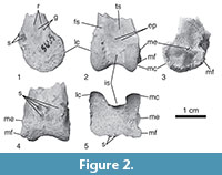 s figure2