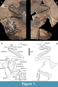 s figure1