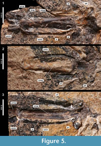 s figure5