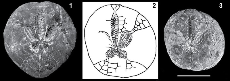 figure7