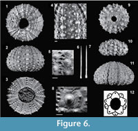 s figure6