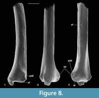 s figure8