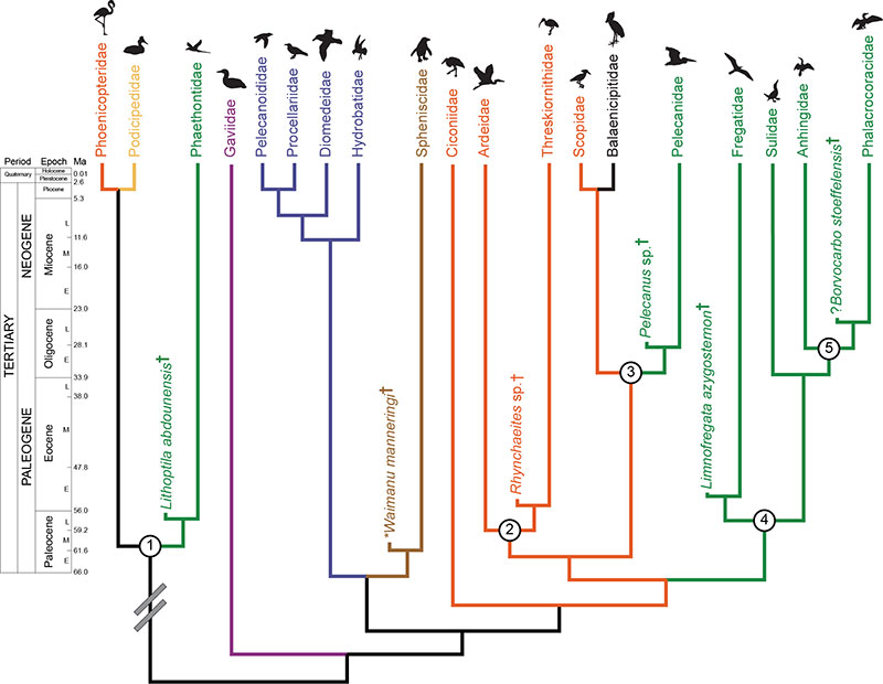 figure2