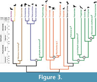 s figure3