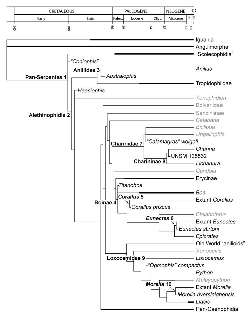 figure1