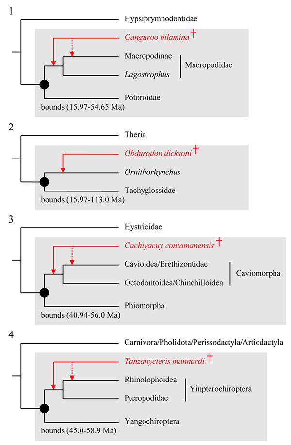 figure1