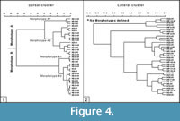 s figure4