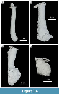 s figure 14