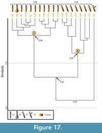 s figure 17