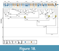 s figure 18