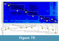 s figure 19