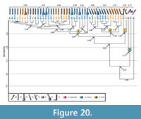 s figure 20