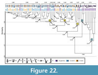 s figure 22