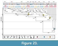 s figure 23