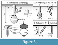 s figure 3