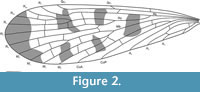 s figure2