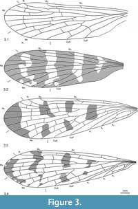 s figure3