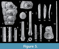 s figure5