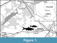 s figure1
