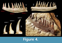 s figure4