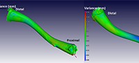 Fossil CT scan data analyses	