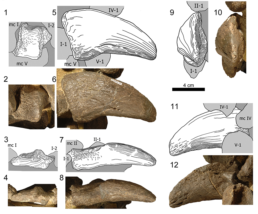 figure 15