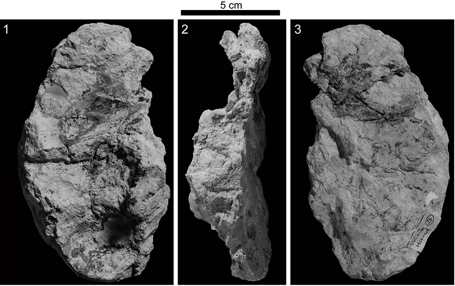 figure 32