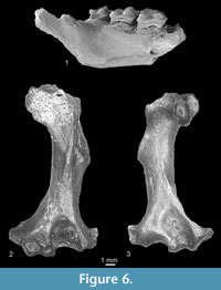 s figure6