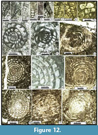 s figure12