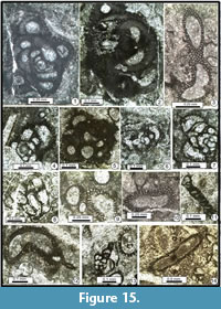 s figure15