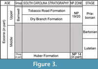 s fig 3
