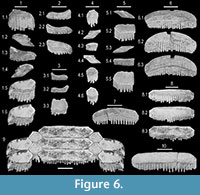 s fig 6