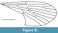 s figure8 n